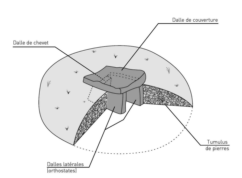 Illustration schéma dolmen (© Cité de la Préhistoire)