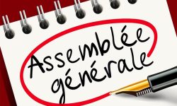 Assemblée générale